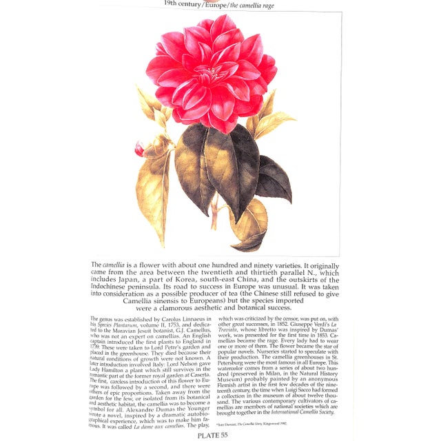 White "European Gardens: An Historical Atlas" 1990 Vercelloni, Virgilio For Sale - Image 8 of 9