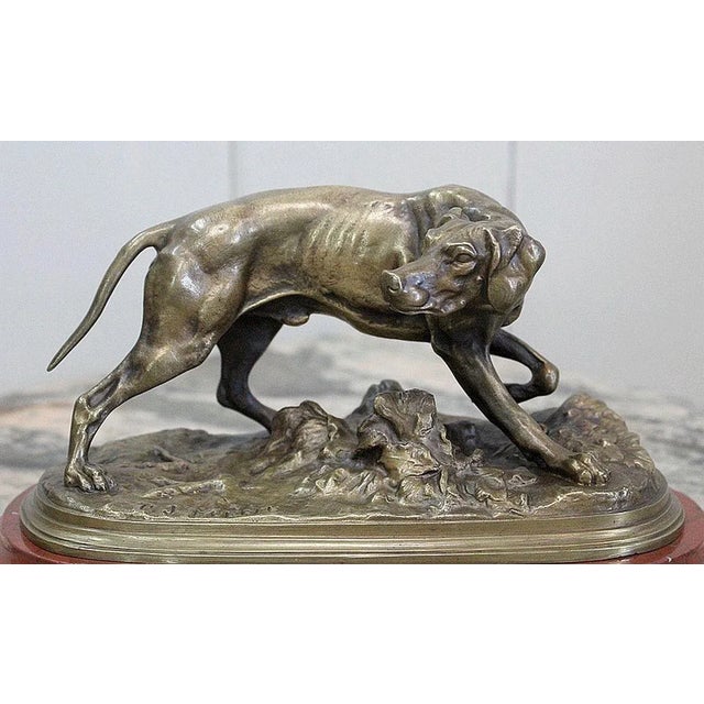 19th Century Bronze of A Braque Dog by P.j Mêne For Sale - Image 4 of 18