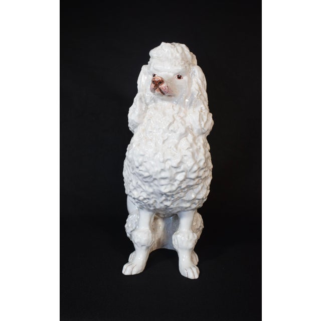 Vintage Regency White Glazed Ceramic Sitting Poodle, Italy 1960's For Sale - Image 13 of 17