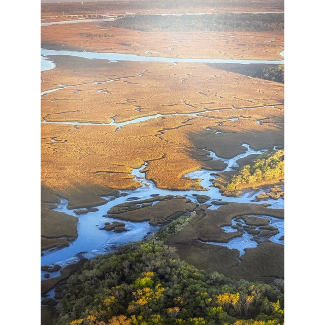 21st-Century, Untitled, Aerial Color Photograph of Salt Marsh, Artist Tom Schifanella For Sale In Jacksonville, FL - Image 6 of 8