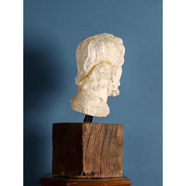 Stone Girolamo Ticciati, Male Head with Beard and Wavy Hair, 18th Century, Marble For Sale - Image 7 of 8