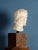 Stone Girolamo Ticciati, Male Head with Beard and Wavy Hair, 18th Century, Marble For Sale - Image 7 of 8
