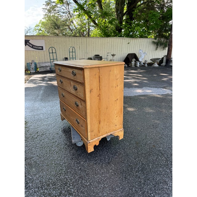 English 19th Century English Pine Chest For Sale - Image 3 of 14
