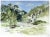 Verdant plein air landscape of Chena Hot Springs during summer in Alaska by unknown artist (American, 20th Century)....