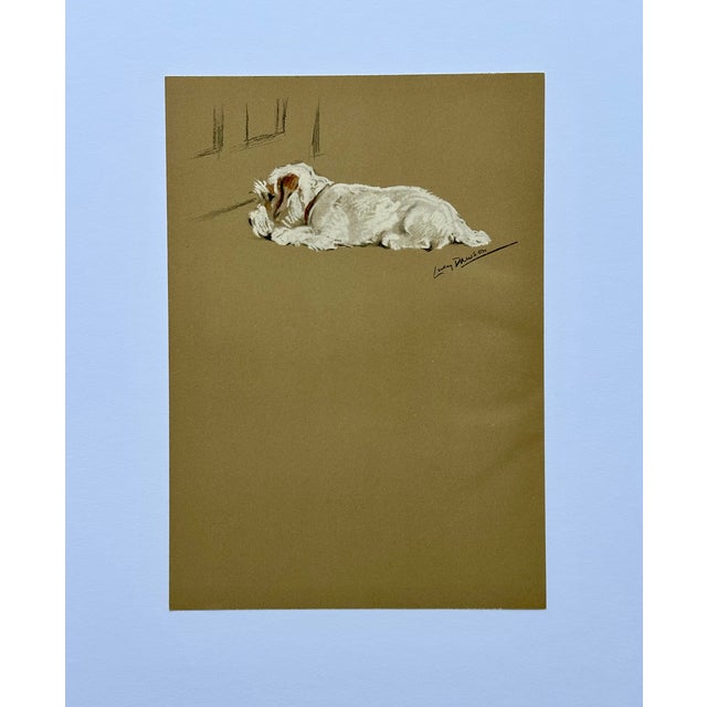 Original print by British painter and printmaker Lucy Dawson (1875–1954), known for her animal portraits, specifically...