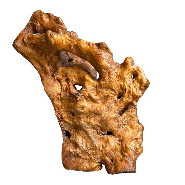 Wabi Sabi Burl Wood Decoration, Japan, 1950s For Sale