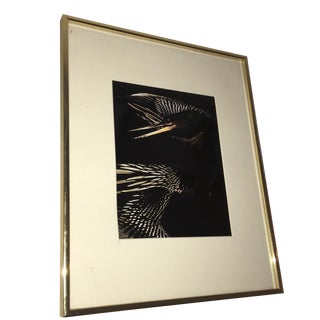 Photo Print of Birds For Sale