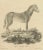 Paper Borifow, Horse, Paper For Sale - Image 7 of 9
