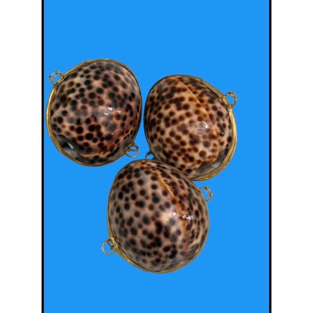 Mid 20th Century Mid 20th Century Victorian Cowrie Shell Nautical Keepsake Box For Sale - Image 5 of 8