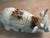 Hollywood Regency Vintage Italian Majolica Ceramic Hand Painted Cow Soup Tureen For Sale - Image 3 of 12