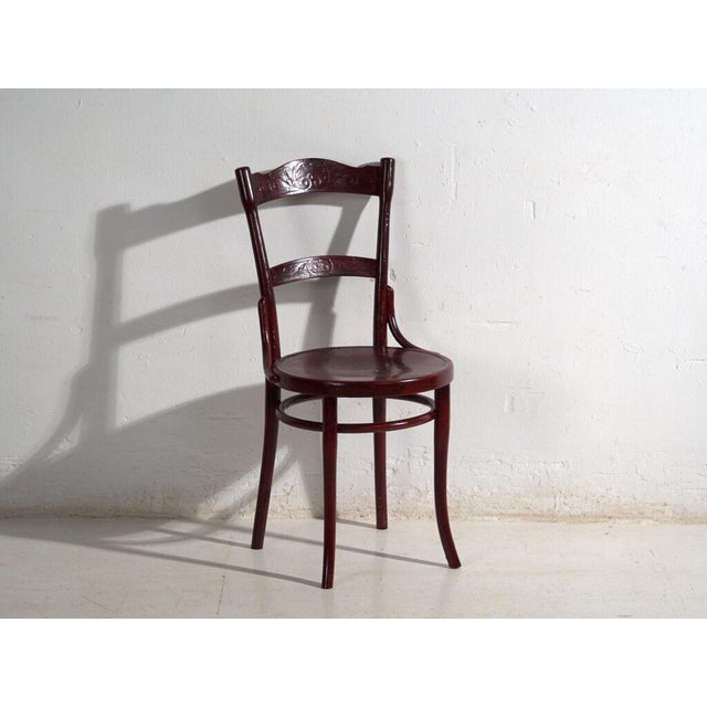 Brown Antique Bentwood Chairs, Central Europe, 1900s, Set of 4 For Sale - Image 8 of 14