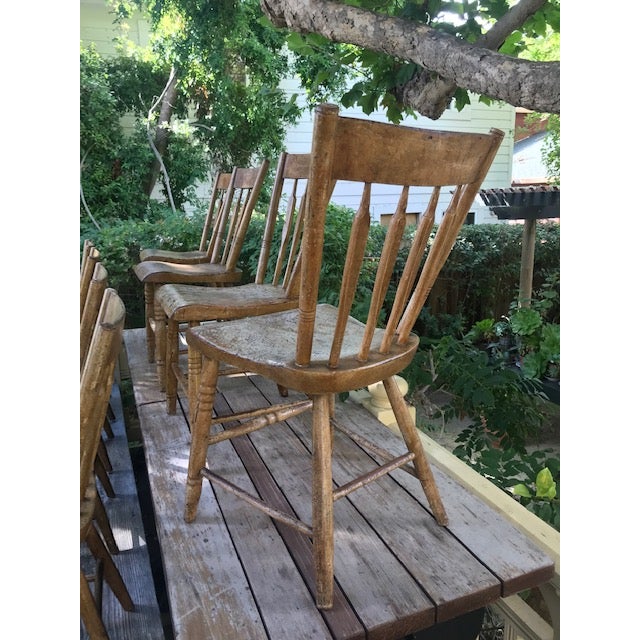Late 19th Century Late 1890's New England/Pennsylvania Handmade Sunday School Chapel Pine Plank Fiddleback Chairs, Set of 12 For Sale - Image 5 of 12