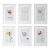 Set of 6 - 9.5" by 14.2" Unframed Organic Modern Floral Paintings For Sale