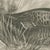 Lilian Marguerite Medland, Long-Tailed Duck, Two Figures, 1909, Print For Sale - Image 4 of 12