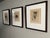 White 1796 Giovanni Battista Cipriani Set of Temple of Mars the Avenger Architectural Etchings - Set of 3 For Sale - Image 8 of 11