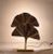 2010s Pair of Ginkgo Brass Table Lamps, Mid Century Modern Italy For Sale - Image 5 of 12