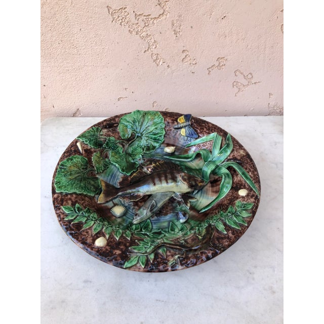 Palissy fishs wall platter on a brown background with fishs, moth, lizard, shells. The School of Paris is composed by...