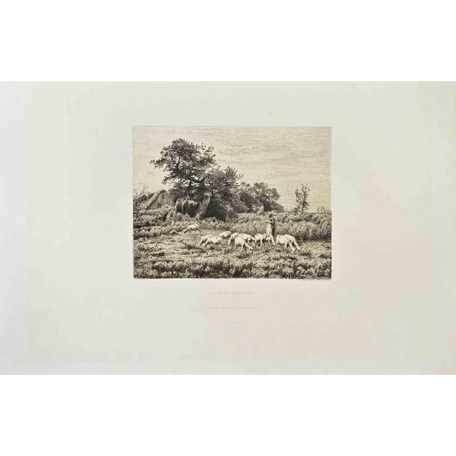 Le Petit Troupeau is a black and white etching realized by Jean-Ferdinand Chaigneau (1830-1906) in 1870s. Titled in the...