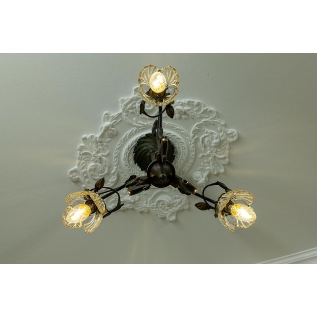 French Art Nouveau Bronze Chandelier with Clear Glass Botanical Shades, 1910 For Sale - Image 5 of 18