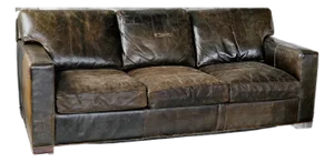 Sleeper Sofa Crate and Barrel