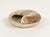 Stone Mid-Century Modern Round Vide-Poche in Travertine from Fratelli Mannelli, Italy, 1970s For Sale - Image 7 of 17