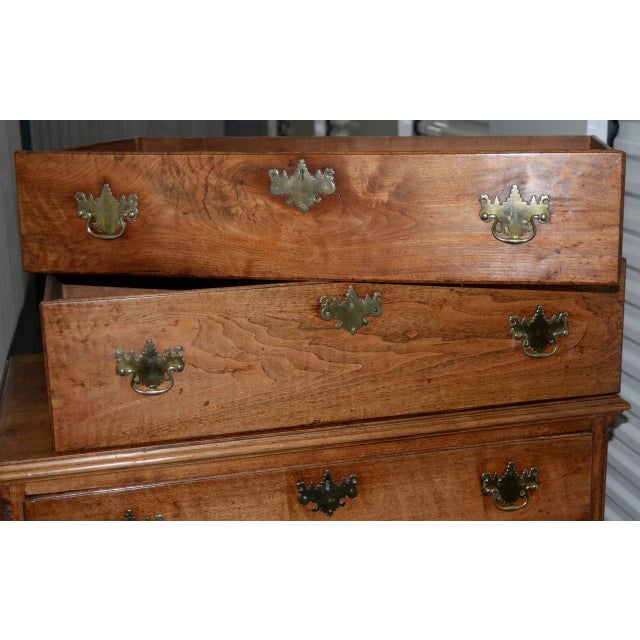Brown Early American Chippendale Period Maple Chest of Drawers For Sale - Image 8 of 13