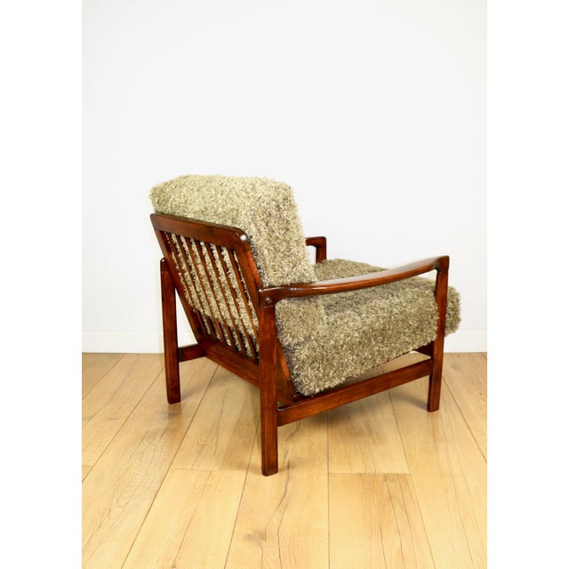 Vintage Brown Lounge Chair by Z. Bączyk For Sale - Image 6 of 12