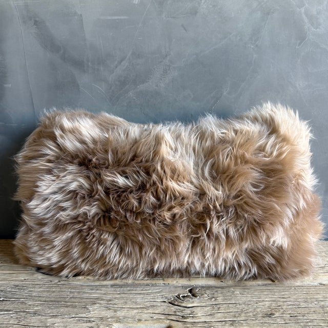 12" x 20" Color: Teddy Brown Zipper closure / Poly fill insert is included Our Long Hair Sheep Pillow is a cozy nod to...