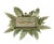 Late 20th Century A Vintage Hollywood Regency-Style Bamboo Palm Tree Chandelier. For Sale - Image 5 of 11