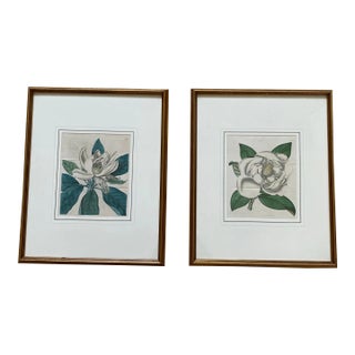 Pair of Antique Botanical Framed Prints For Sale