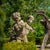 Stone Unknown, Playing Putti, 1990s, Stone For Sale - Image 7 of 14