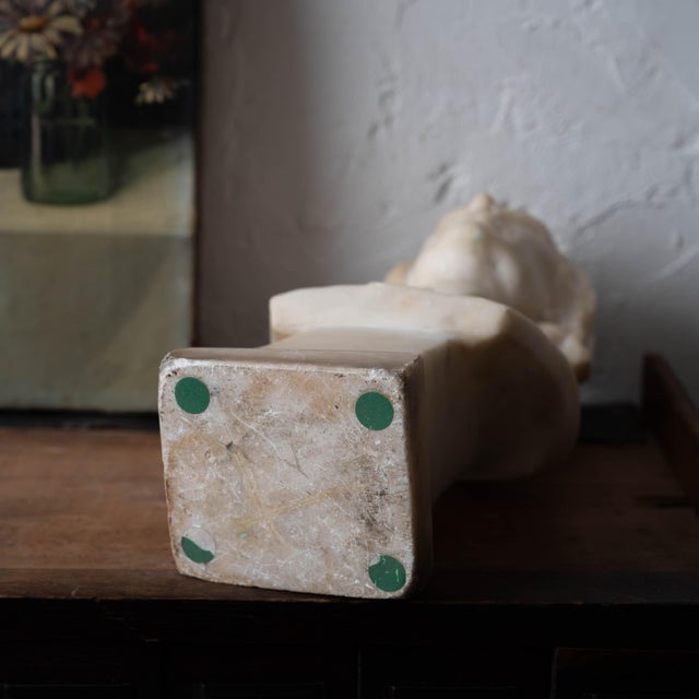 Franz Liszt Marble Bust, 19th Century For Sale - Image 13 of 13