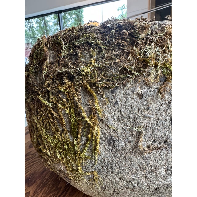 Vintage Concrete Planter, France For Sale In New York - Image 6 of 18