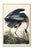 Great Blue Heron by John James Audubon, vintage bird art print reproduced from Birds of America (1827), available as a 12"...