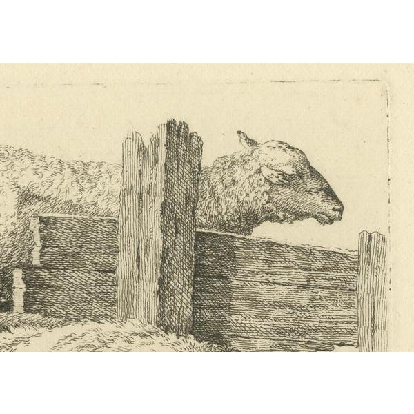 Early 19th Century Oberman, Three Sheep Resting, 1810, Etching on Paper For Sale - Image 5 of 9