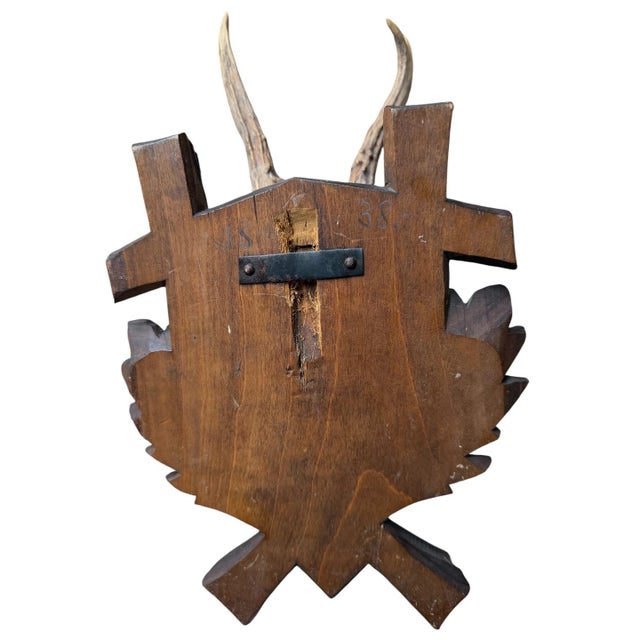 1940s Roe Deer Trophy 184 Black Forest Antlers Mount For Sale - Image 5 of 5