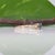 Alexandrite Ring With Earth-Mined Diamond Accents in Solid 14k Gold, Round 4.6mm, Size 6.75 For Sale - Image 9 of 12