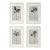 Set of 4 - Contemporary Dark Green Botanical Organic Modern Original Oil Paintings / Herbarium / Floral / Earth Tones For Sale