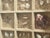 Shell Vintage Florida Sea Shell Collection Marine Specimens For Sale - Image 7 of 7
