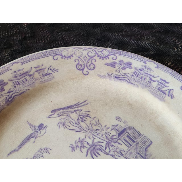Staffordshire Chusan Pattern Plate from Clementson For Sale - Image 5 of 12