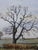 Ronald Birch, Near Little Rissington, Cotswold Landscape, Mid Century, Watercolour For Sale - Image 6 of 14