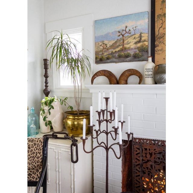 Pair of Natural Taxidermy Waxed Ram Horns For Sale - Image 6 of 10