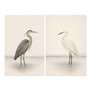 Coastal Heron & Egret Diptych, Neutral Shorebird Art Print Set, 16" X 24" For Sale