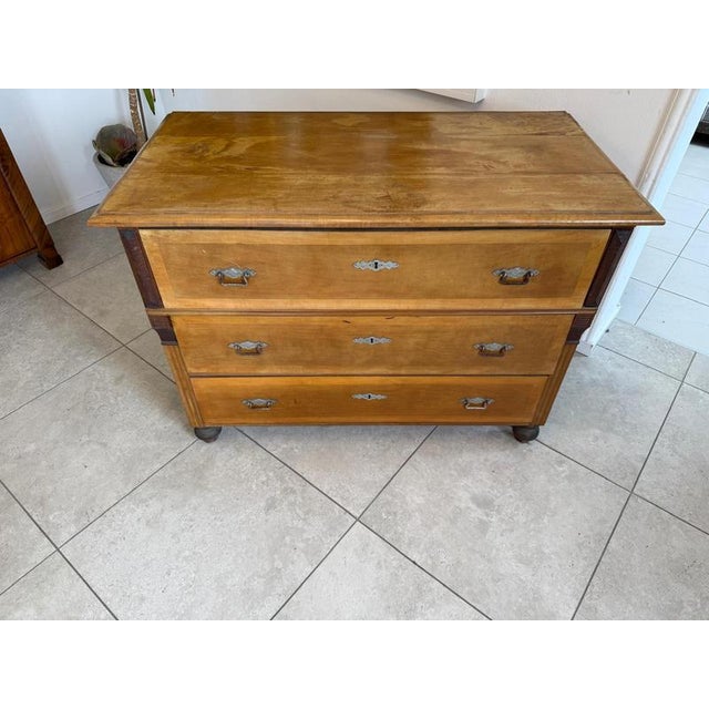 Gründerzeit Chest of Drawers in Walnut For Sale - Image 11 of 15