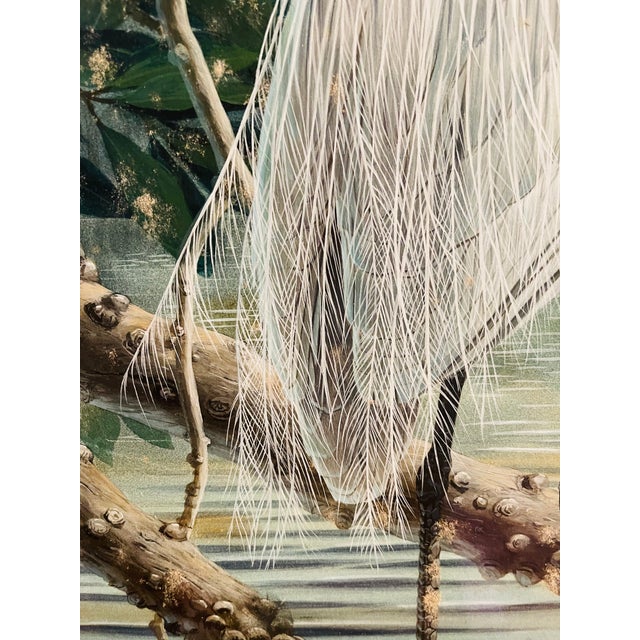 Spectacular Original Don Blake Snow Egret Large Gouache and Watercolor Painting, Framed For Sale - Image 4 of 7