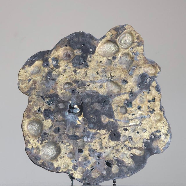 Gunter Damisch, Pumpkin Nose, 2010, Bronze For Sale - Image 6 of 7