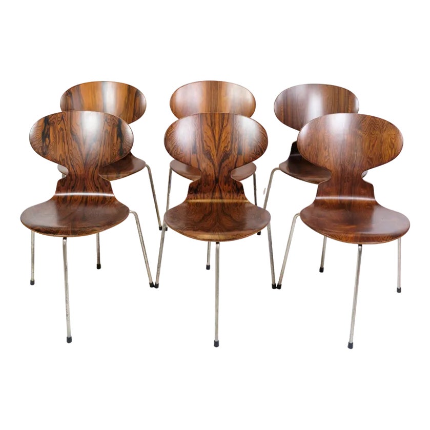 Arne Jacobsen Ant Chair ヴィンテージ ローズウッド Ant Chairs Model 3101 in Rosewood by Arne Jacobsen for Fritz