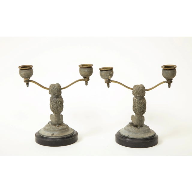 Pair of Regency Dog-Form Gray-Painted and Brass Two-Light Candelabra For Sale - Image 12 of 13