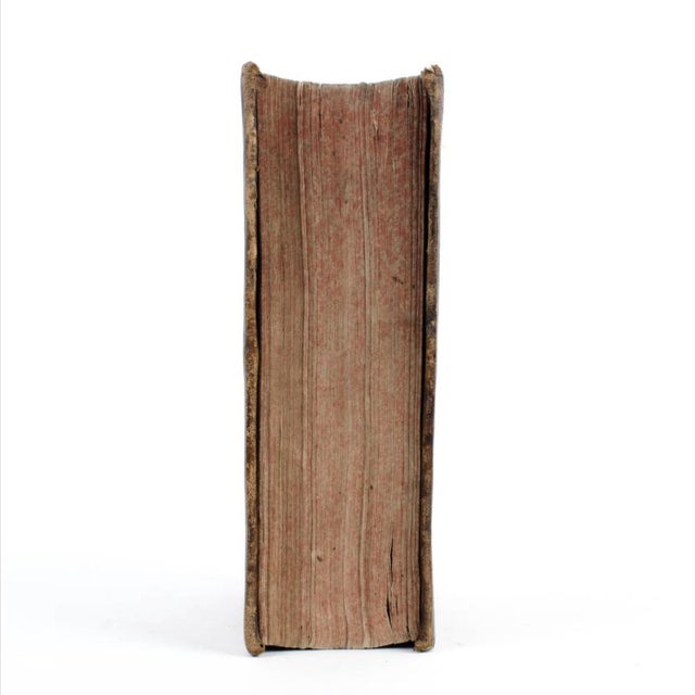 Animal Skin Francisco Xaverio Dornn - Diurnale Concionatorium, 1753 For Sale - Image 7 of 12