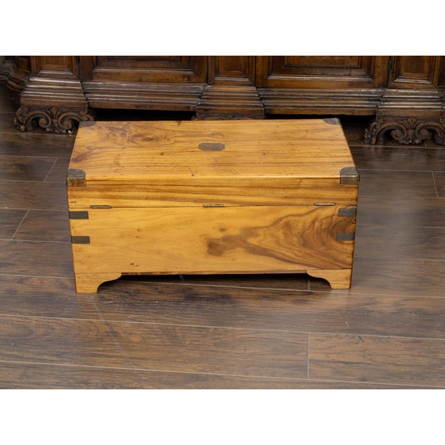 English 1890s Camphor Wood Small Trunk with Brass Accents and Bracket Feet For Sale In Atlanta - Image 6 of 10